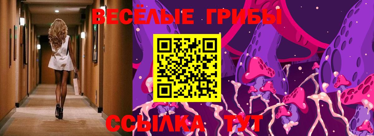 Псилоцибиновые грибы MAGIC MUSHROOMS  Вход с VPN  Котовск 