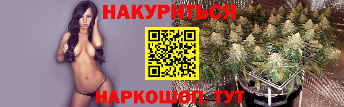 Бошки марихуана план Котовск